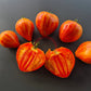Iskusheniye DER TOMATENFLÜSTERER