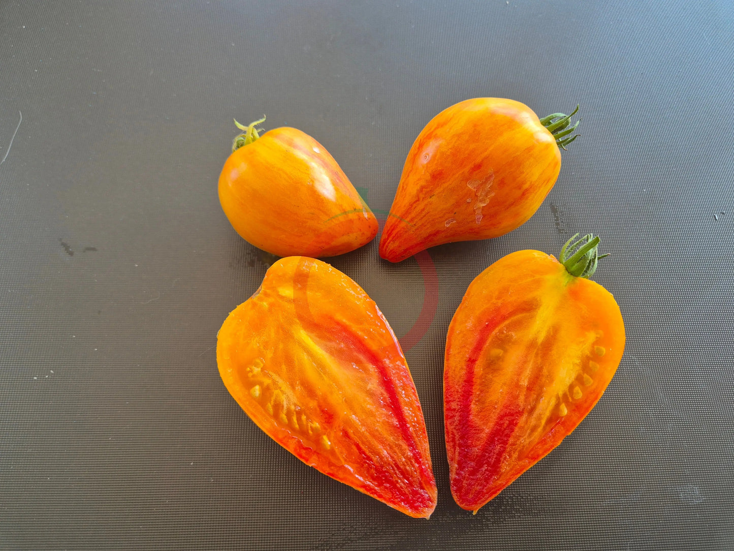 Iskusheniye DER TOMATENFLÜSTERER