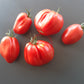 Italian Stallion DER TOMATENFLÜSTERER