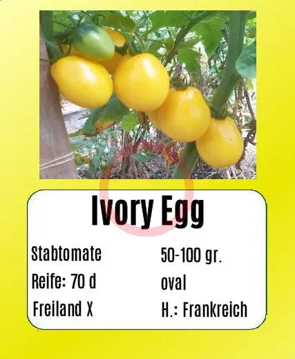 Ivory Egg DER TOMATENFLÜSTERER
