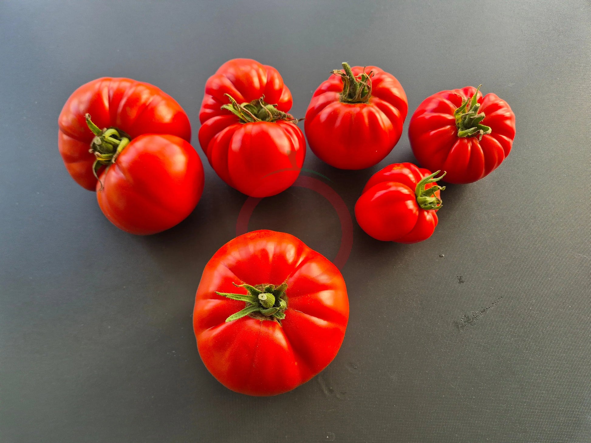 Jabucar Velika Plana DER TOMATENFLÜSTERER