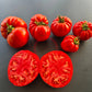 Jabucar Velika Plana DER TOMATENFLÜSTERER