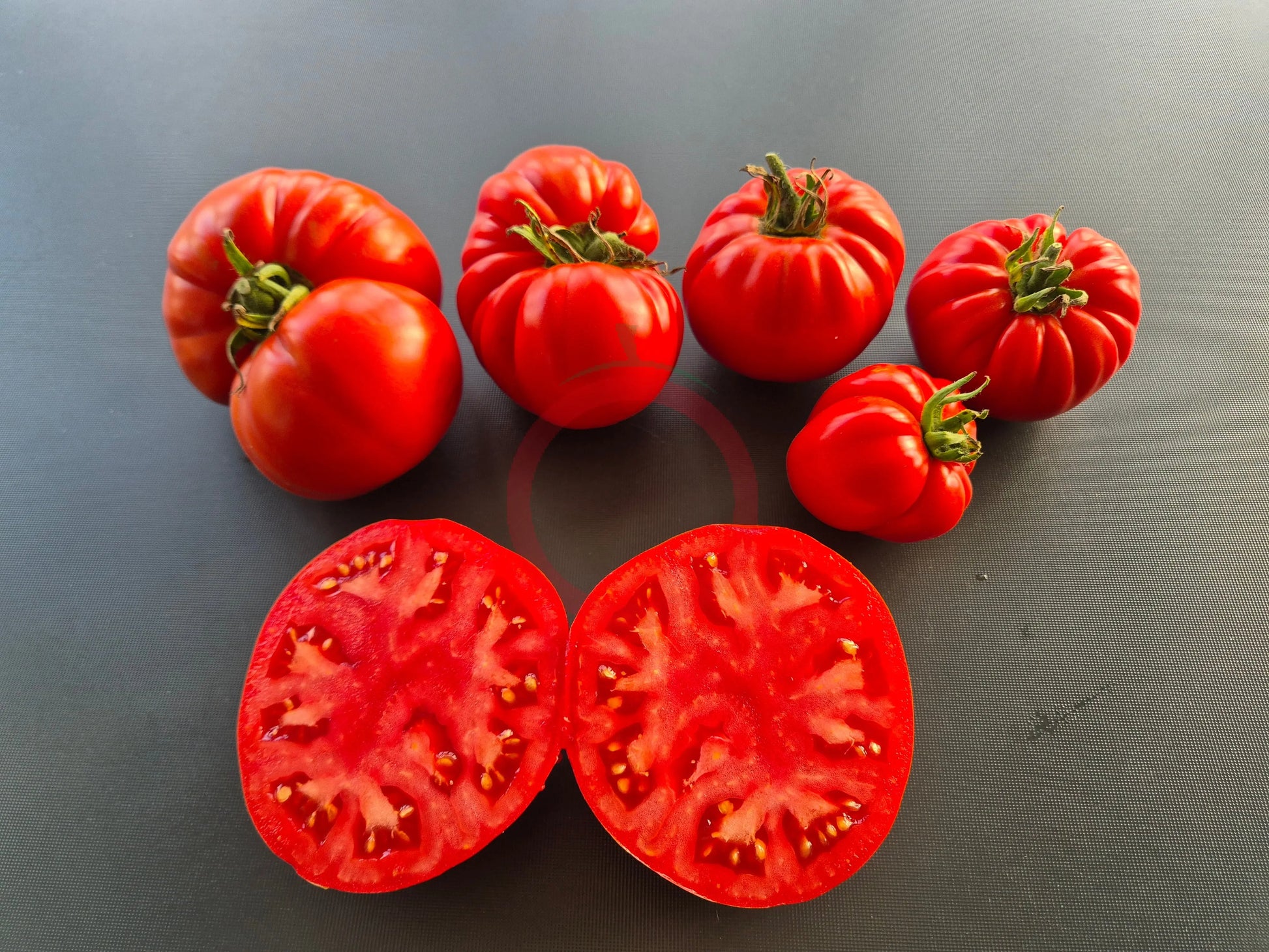 Jabucar Velika Plana DER TOMATENFLÜSTERER