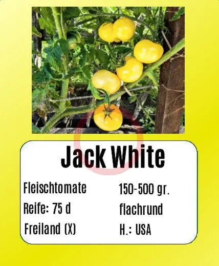 Jack White DER TOMATENFLÜSTERER