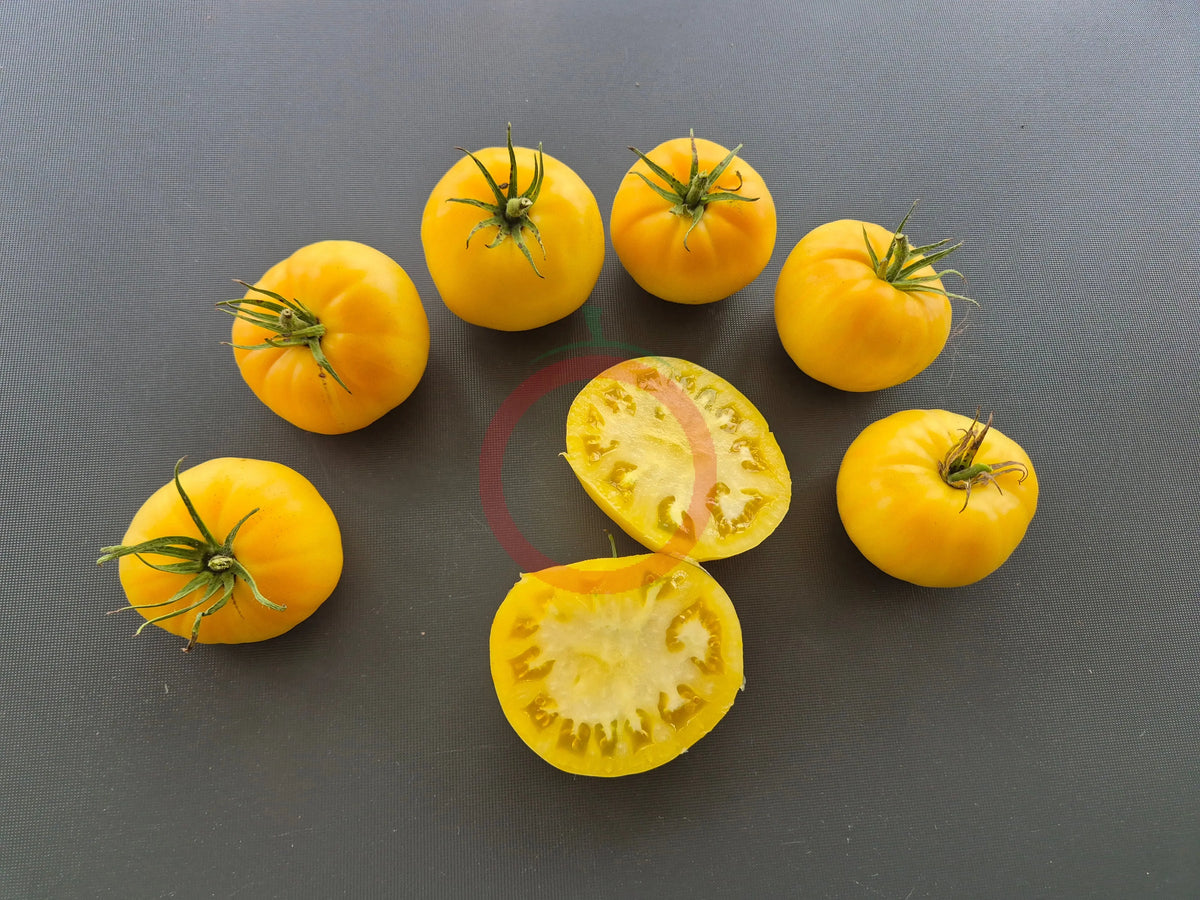 Jack White DER TOMATENFLÜSTERER