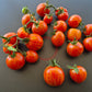 Jack in a Box DER TOMATENFLÜSTERER