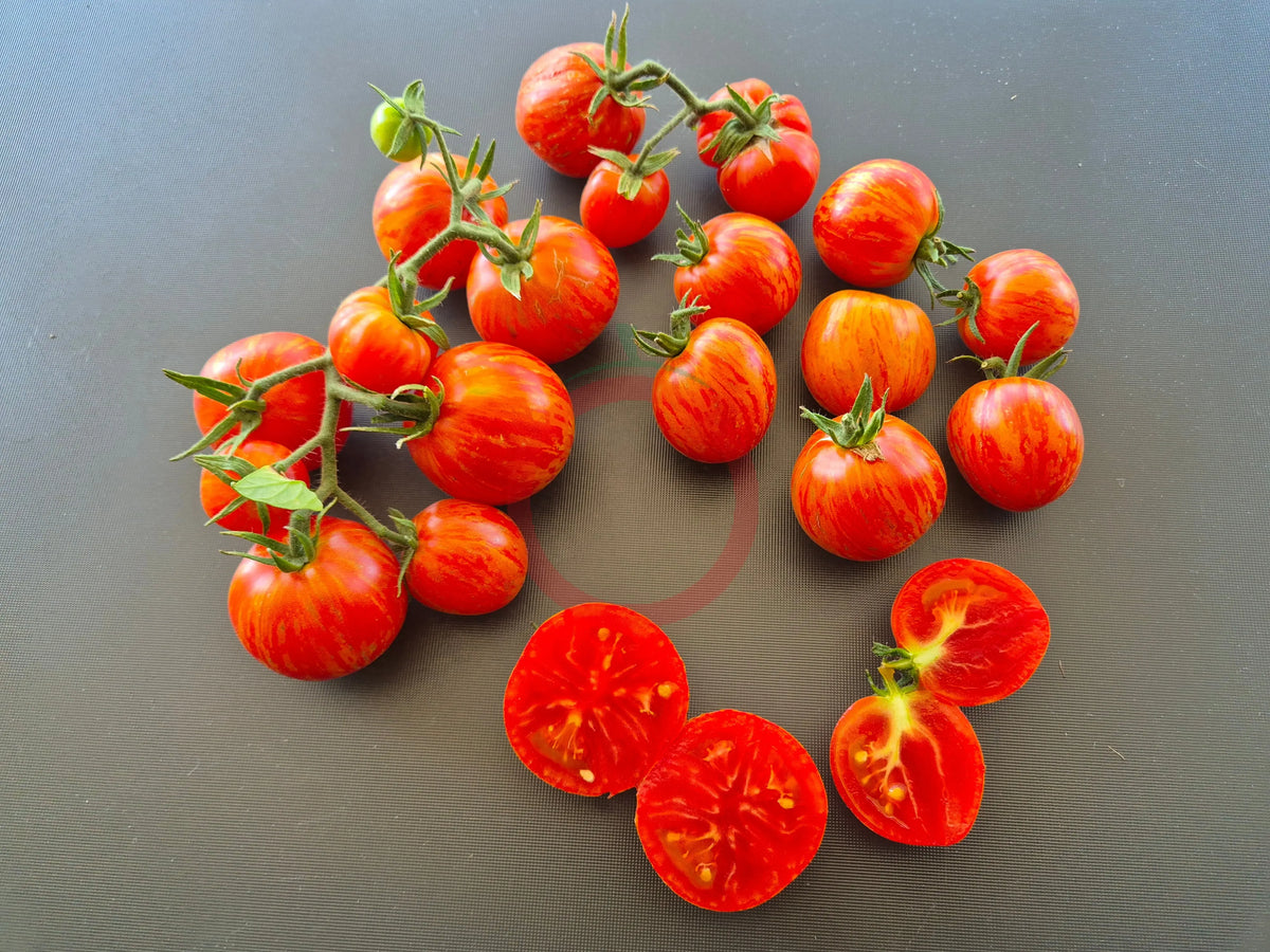 Jack in a Box DER TOMATENFLÜSTERER