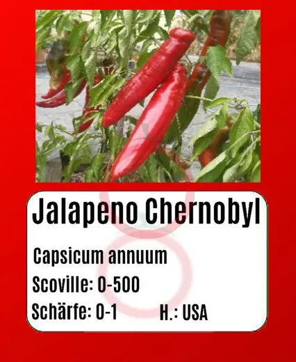 Jalapeno Chernobyl DER TOMATENFLÜSTERER