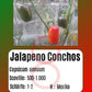 Jalapeno Conchos DER TOMATENFLÜSTERER