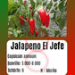 Jalapeno El Jefe DER TOMATENFLÜSTERER