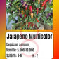 Jalapeño Multicolor DER TOMATENFLÜSTERER