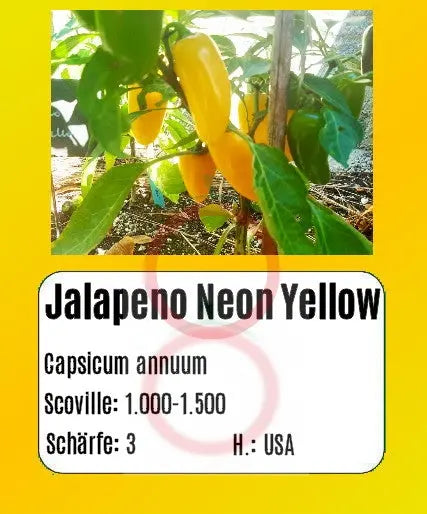 Jalapeno Numex Neon Yellow DER TOMATENFLÜSTERER