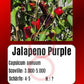 Jalapeno Purple DER TOMATENFLÜSTERER