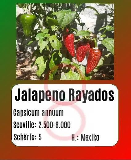 Jalapeno Rayados DER TOMATENFLÜSTERER