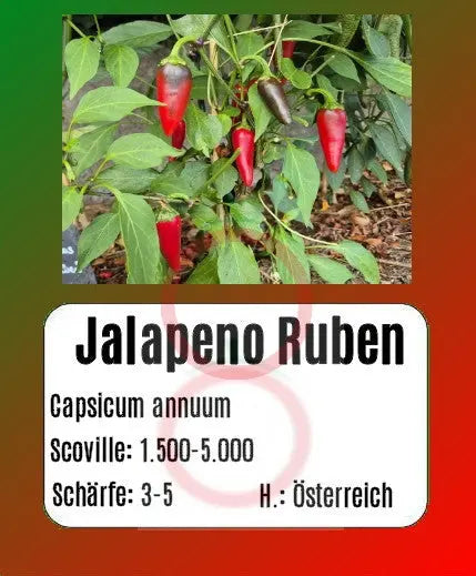 Jalapeno Ruben DER TOMATENFLÜSTERER