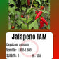 Jalapeno TAM DER TOMATENFLÜSTERER