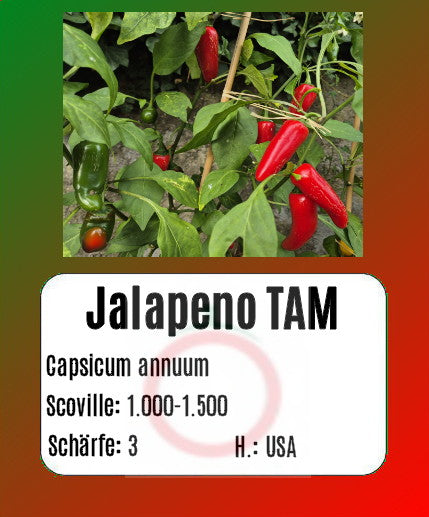 Jalapeno TAM DER TOMATENFLÜSTERER