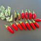 Jalapeno Tiger DER TOMATENFLÜSTERER