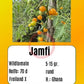 Jamfi DER TOMATENFLÜSTERER