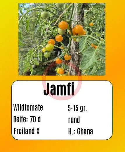 Jamfi DER TOMATENFLÜSTERER