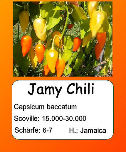 Jamy Chili DER TOMATENFLÜSTERER