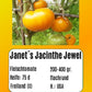 Janet´s Jacinthe Jewel DER TOMATENFLÜSTERER