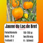 Jaune du Lac de Bret DER TOMATENFLÜSTERER