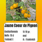 Jaune Coeur de Pigeon