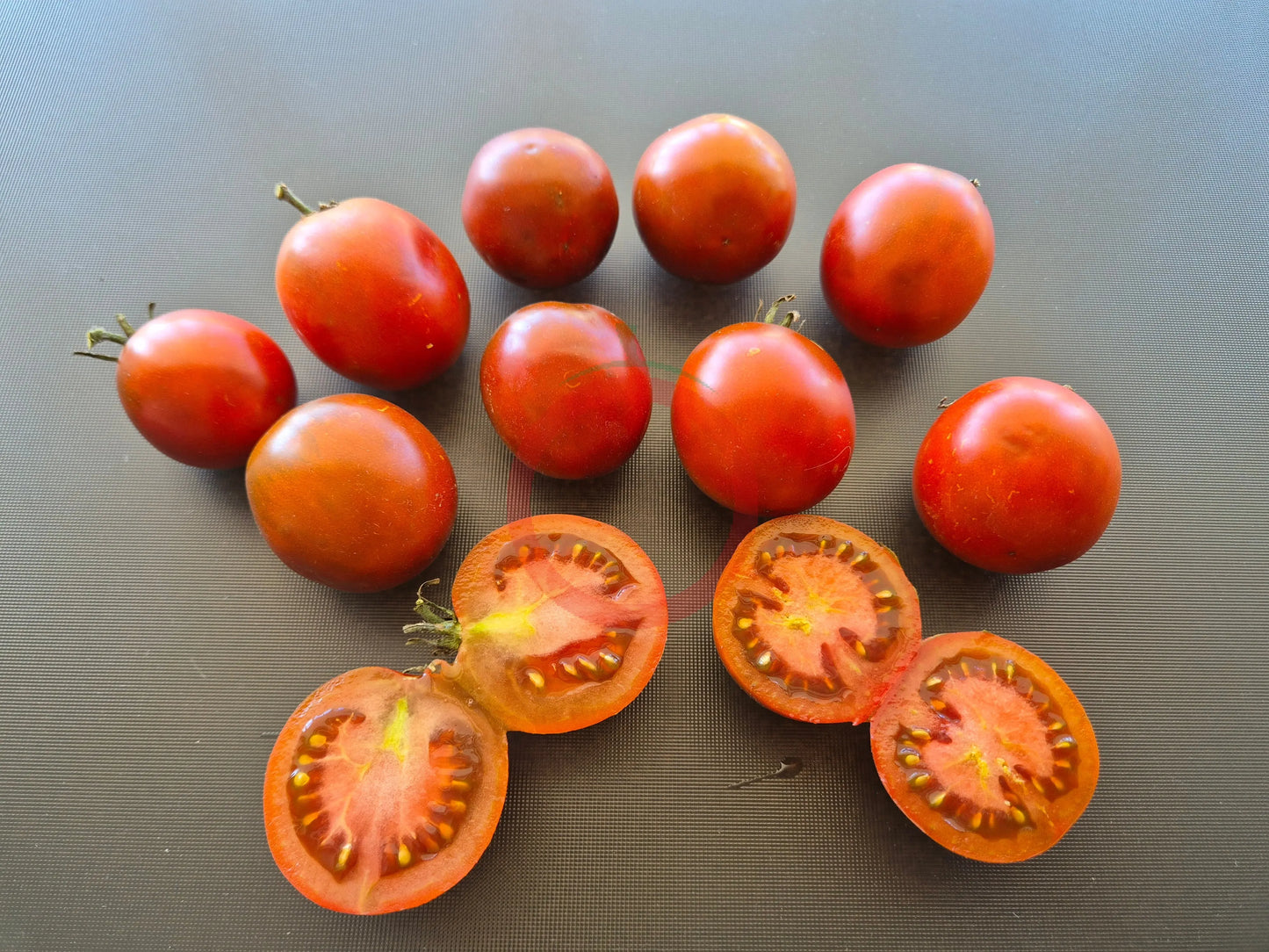 Jeanne de Lestonnac DER TOMATENFLÜSTERER