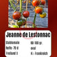 Jeanne de Lestonnac DER TOMATENFLÜSTERER