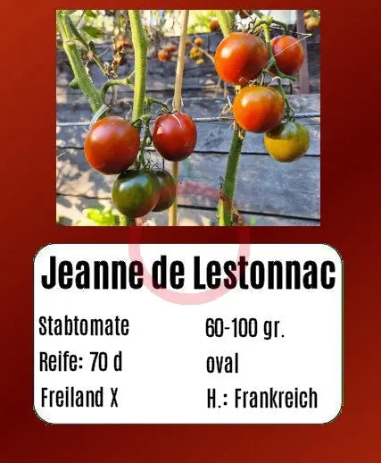Jeanne de Lestonnac DER TOMATENFLÜSTERER