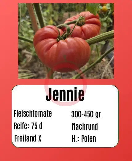 Jennie DER TOMATENFLÜSTERER