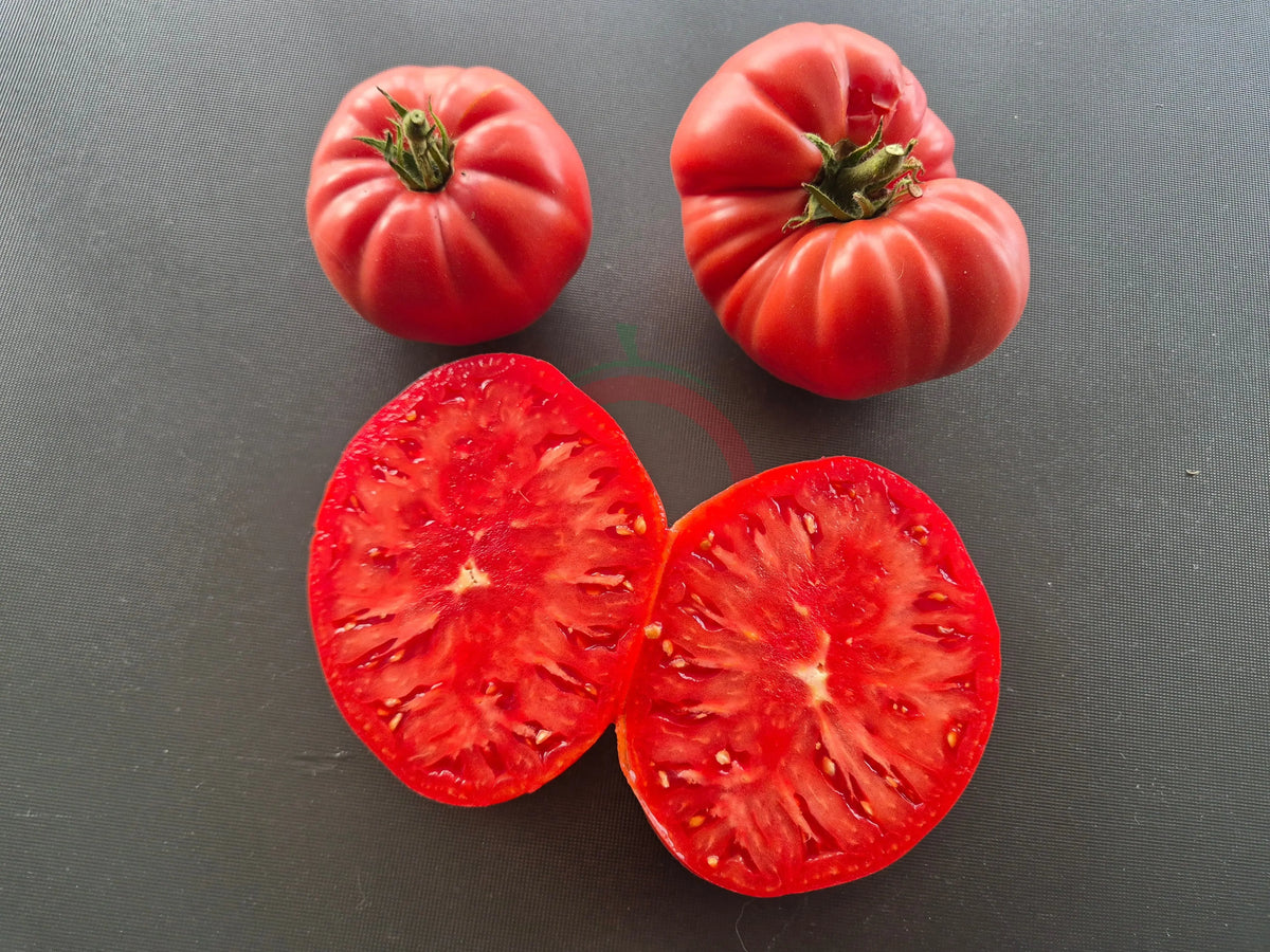 Jennie DER TOMATENFLÜSTERER