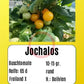 Jochalos DER TOMATENFLÜSTERER