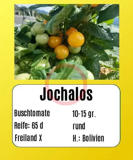 Jochalos DER TOMATENFLÜSTERER