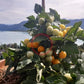 Jochalos DER TOMATENFLÜSTERER