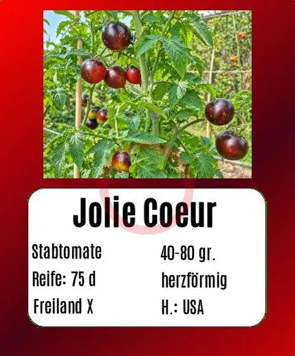 Jolie Coeur DER TOMATENFLÜSTERER