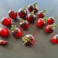 Jolie Coeur DER TOMATENFLÜSTERER