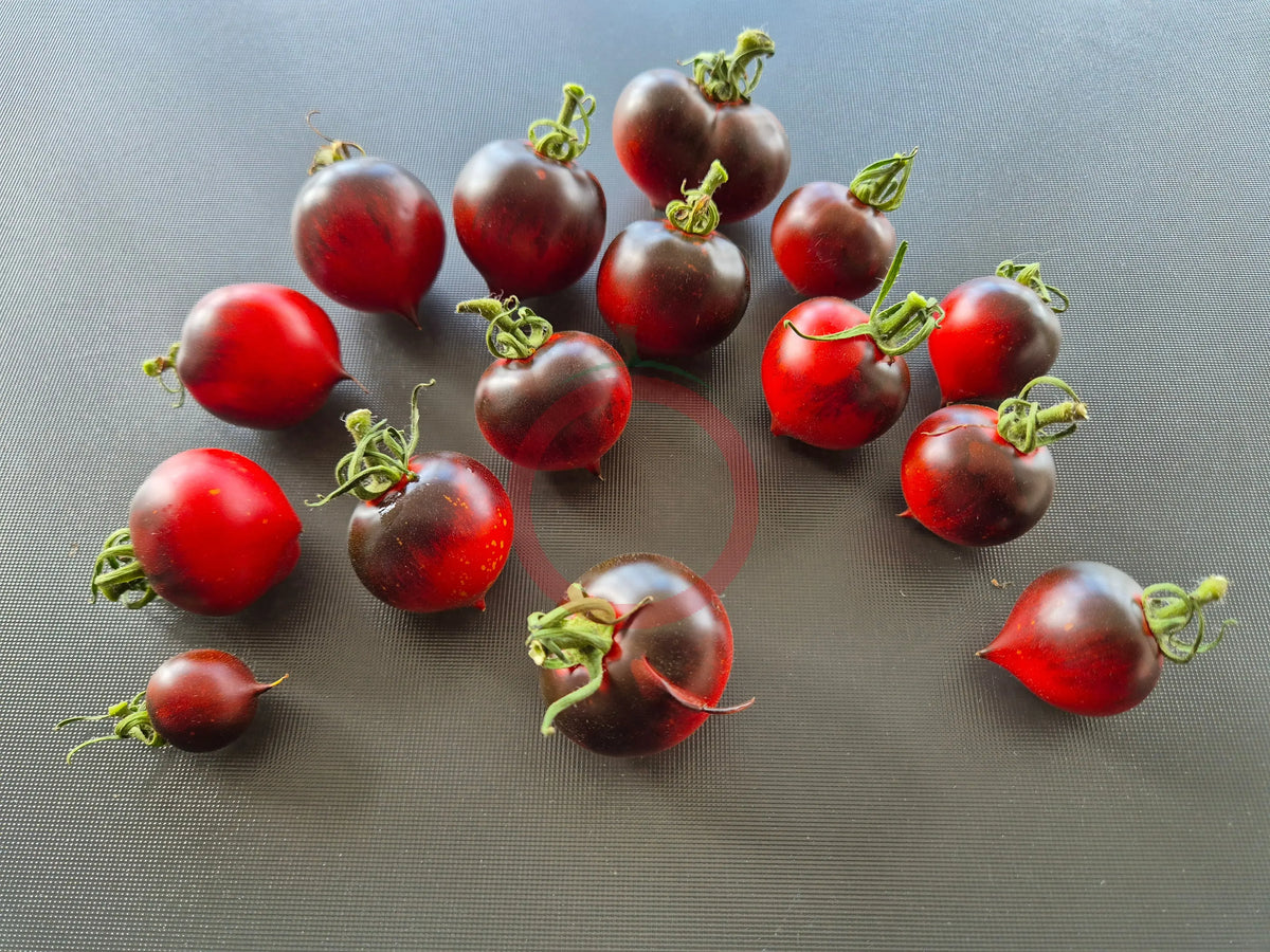 Jolie Coeur DER TOMATENFLÜSTERER