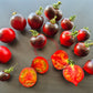 Jolie Coeur DER TOMATENFLÜSTERER