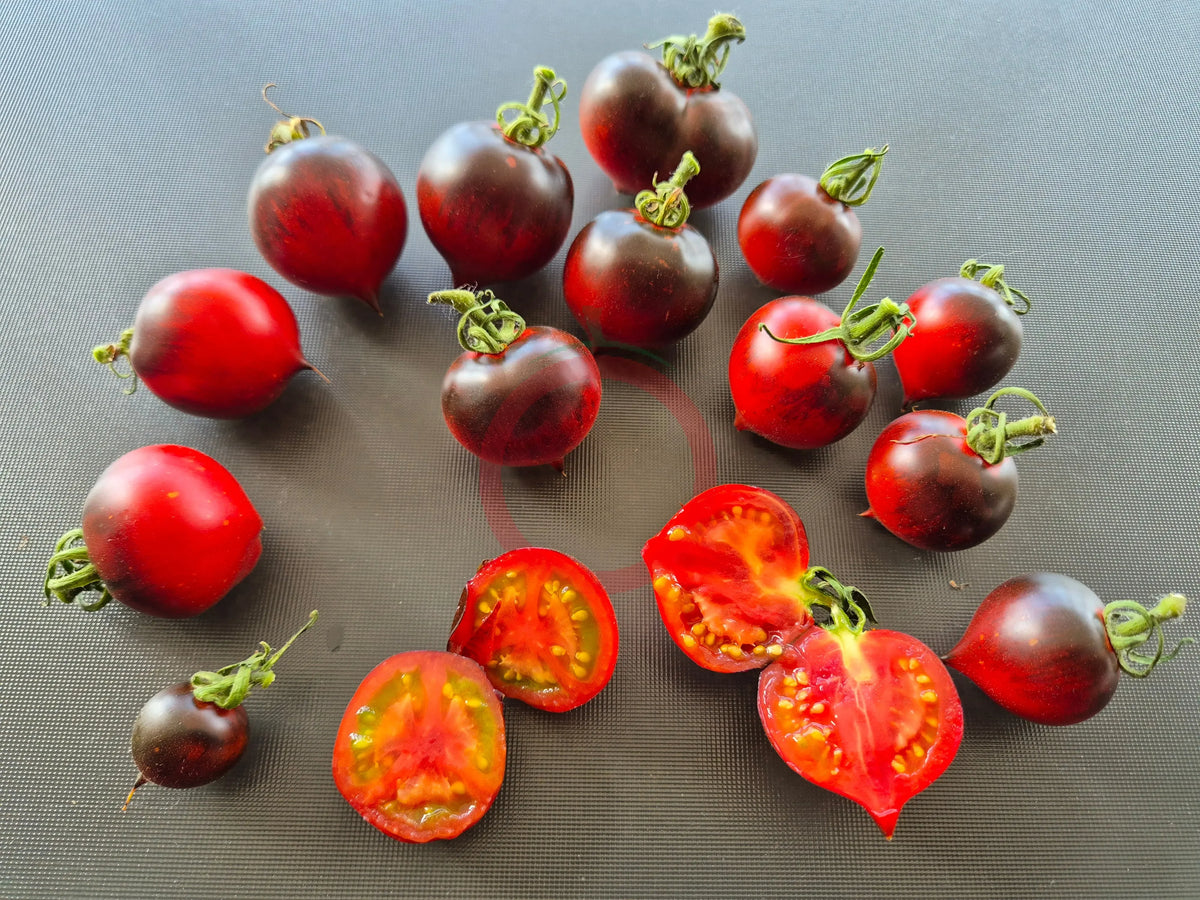 Jolie Coeur DER TOMATENFLÜSTERER