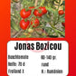 Jonas Bozicou DER TOMATENFLÜSTERER