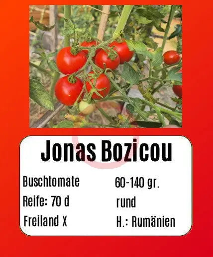 Jonas Bozicou DER TOMATENFLÜSTERER