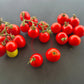 Jonas Bozicou DER TOMATENFLÜSTERER
