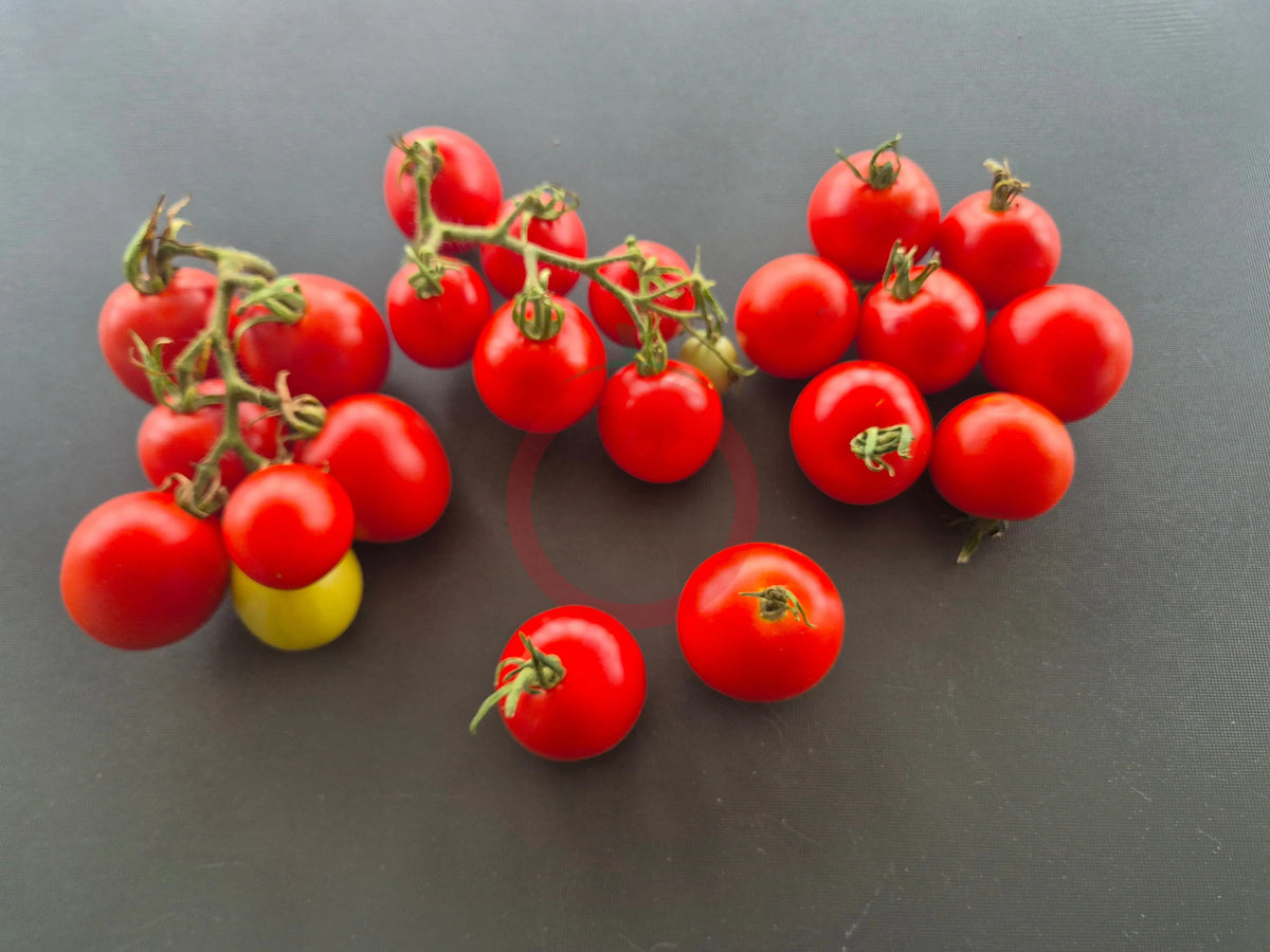 Jonas Bozicou DER TOMATENFLÜSTERER