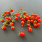 Josh´s Garnet DER TOMATENFLÜSTERER