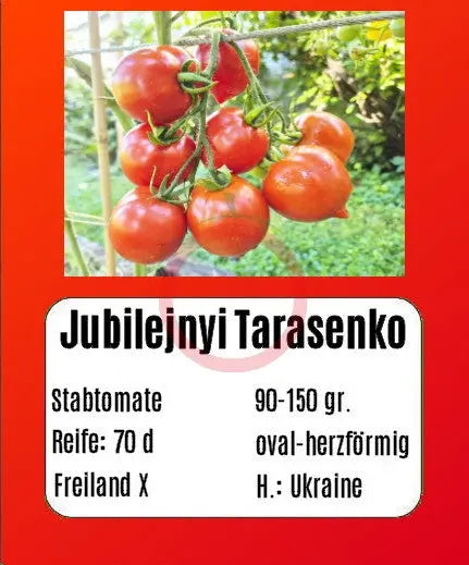 Jubilejnyi Tarasenko DER TOMATENFLÜSTERER