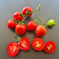 Jubilejnyi Tarasenko DER TOMATENFLÜSTERER