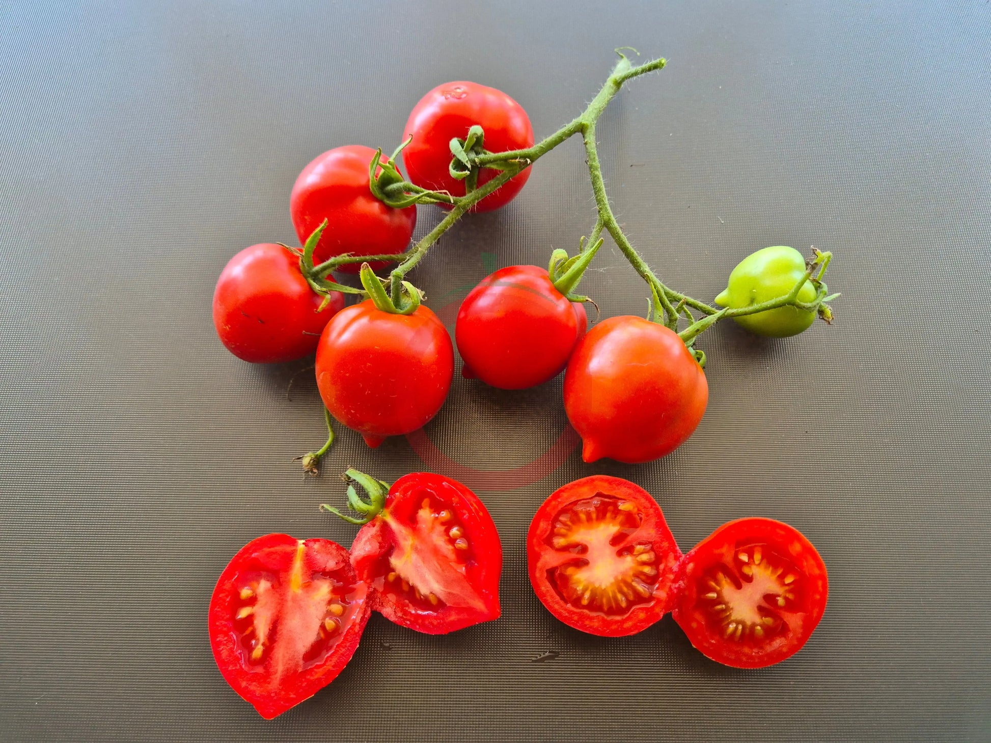 Jubilejnyi Tarasenko DER TOMATENFLÜSTERER