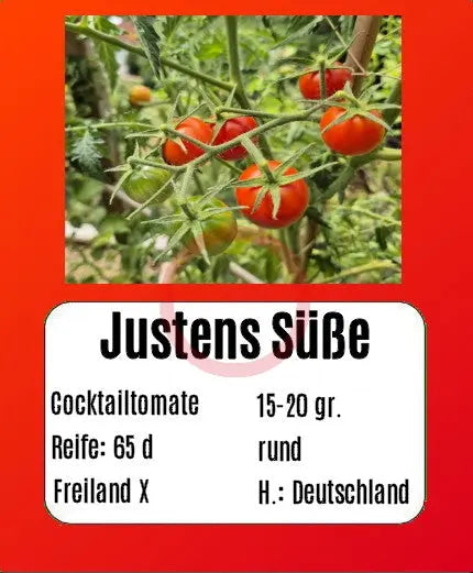 Justens Süße DER TOMATENFLÜSTERER